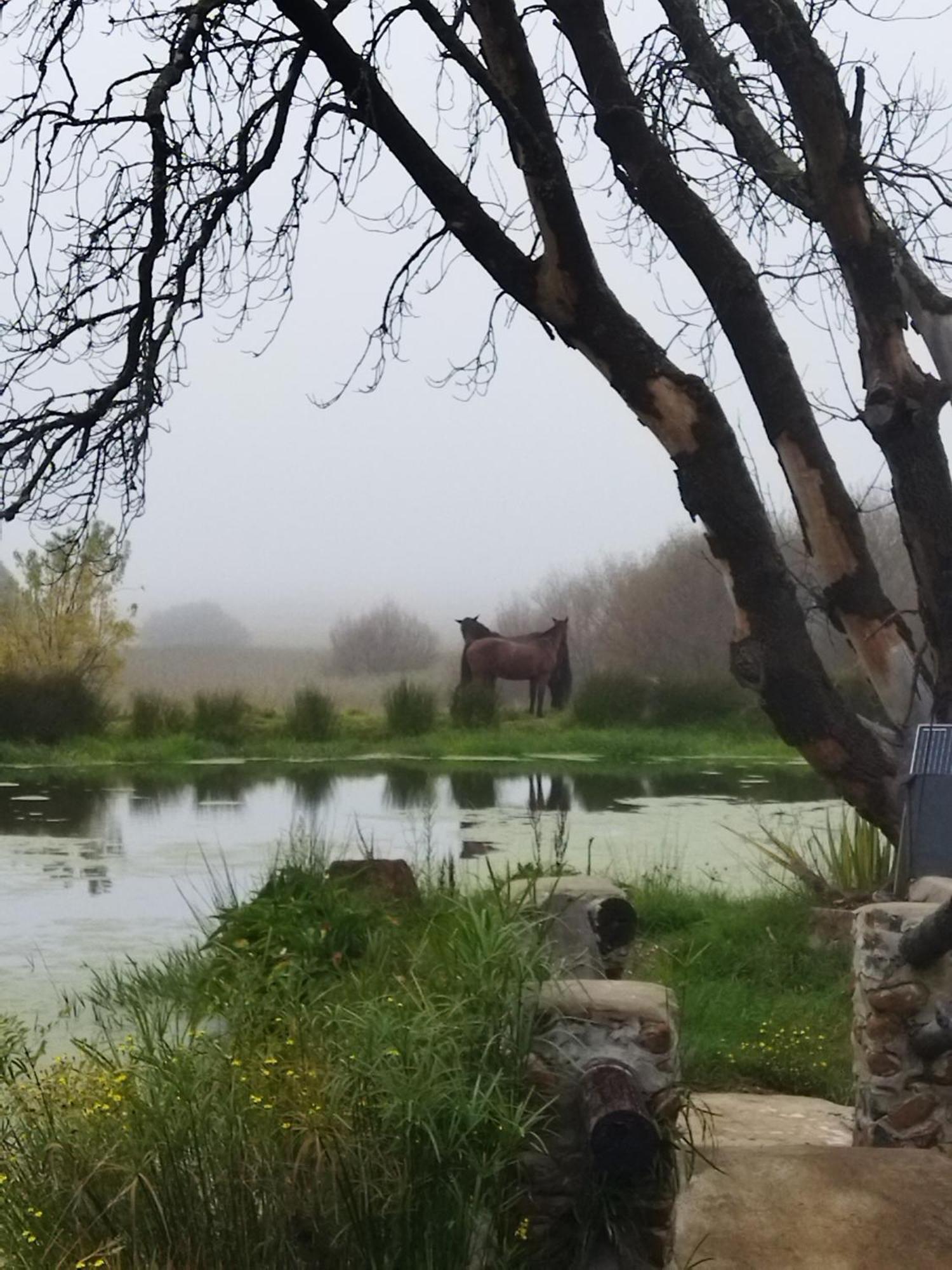 Flitwick Ranch Hotell Swartberg Eksteriør bilde